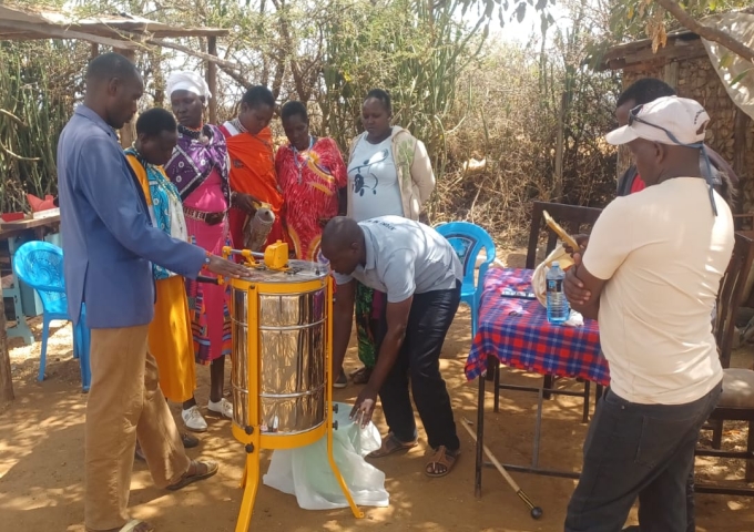 Beekeeping Training