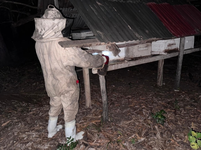 Hive Installation